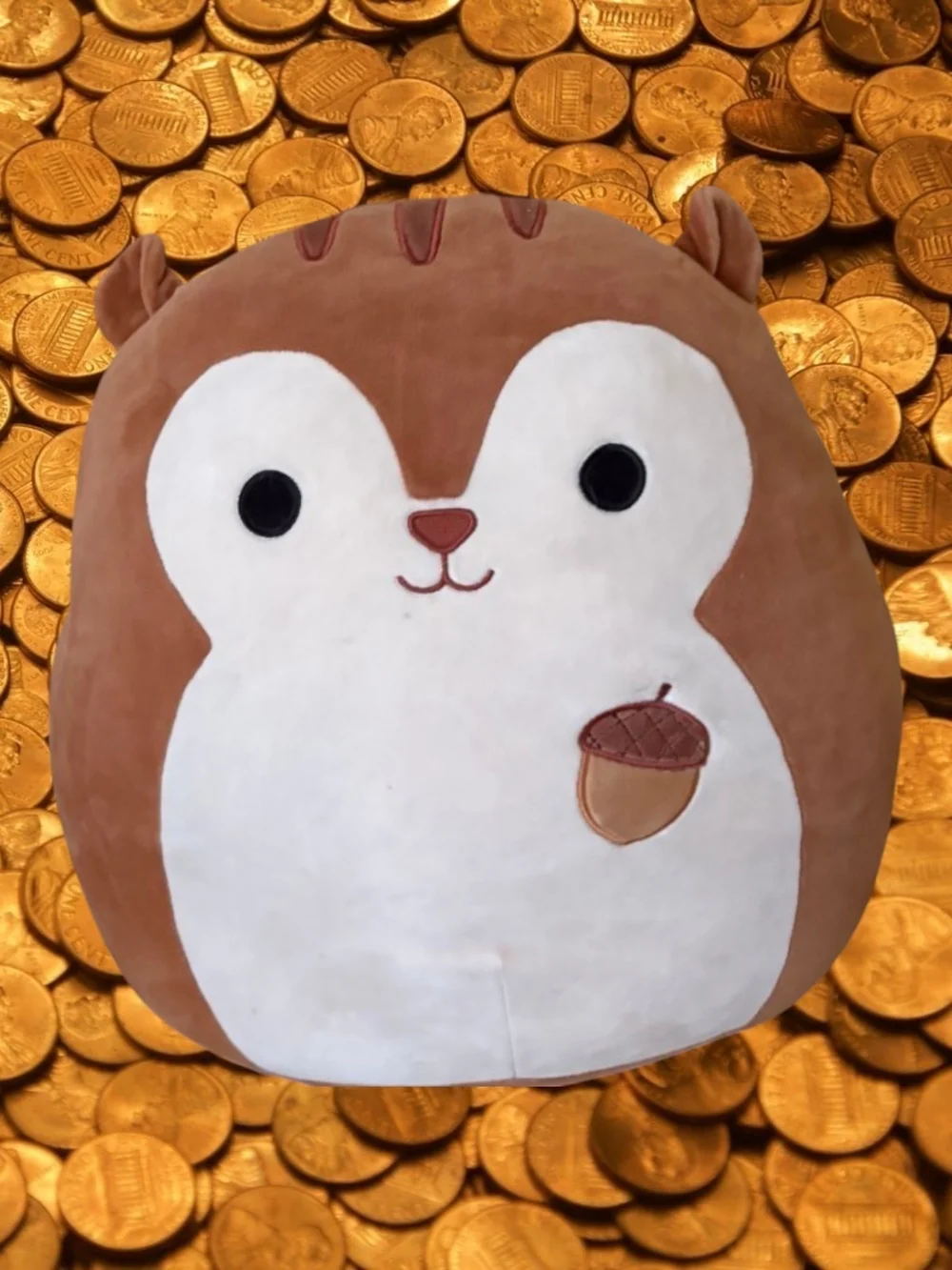 Squishmallows Acorn Sawyer Squirrel with Embroidered Acorn. Treasure Hunter.